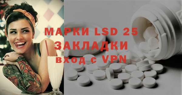 дурь Вяземский