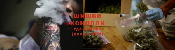 дурь Вяземский