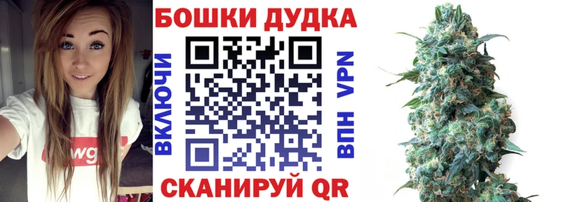 Конопля Amnesia  Черкесск 